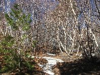 rra delle Concazze-20110410 001
